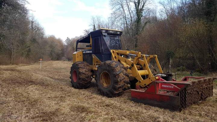 Débroussaillage mécanisé Lironville