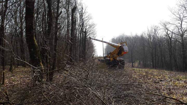 Travaux élagage mécanisé Lironville